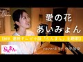 【日本の泣ける名曲】愛の花/あいみょん(Covered by 小平加奈)【フル/歌詞】【NHK 連続テレビ小説「らんまん」主題歌】 | 朝ドラ | NHK