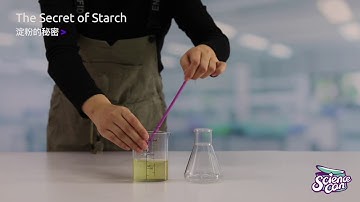 The Secret of Starch - Primary Science Experiment Lab Set