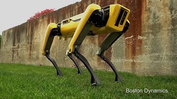This New Robot Dog Has a Playful Spirit