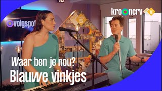 Download Lagu Blauwe Vinkjes - Waar ben je nou?⎜Volgspot⎟NPO Radio 5 MP3