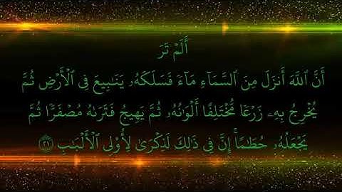 سورة الزمر - رعد الكردي