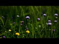 Time lapse de la lagune marchica   nador maroc