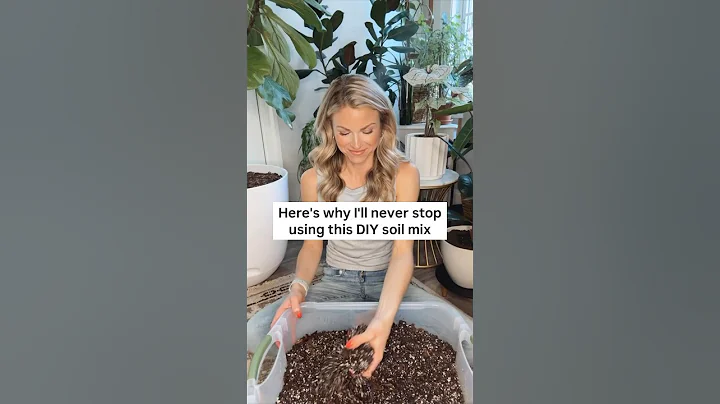 Let’s make a fresh batch of my DIY houseplant soil mix! 🪴✨💚 #plants