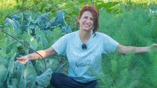 Orto Autunnale E Consociazioni Cavoli E Finocchi Mai Più Soli