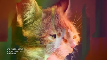 catmelt (Motion Interpolation for Glitch Aesthetics using FFmpeg)