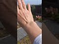 Сентябрь. Обзор сада для подруги Лены.