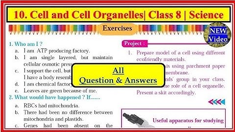 Exercise class 8 science chapter 10 cell and cell organelles । Exercise cell and cell organelles..!!