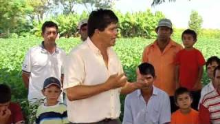 The World According To Monsanto - P11