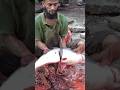 Amazing big giant size pangas fish  cutting skill #shorts #fish #fishcutting #pangas  #fishing