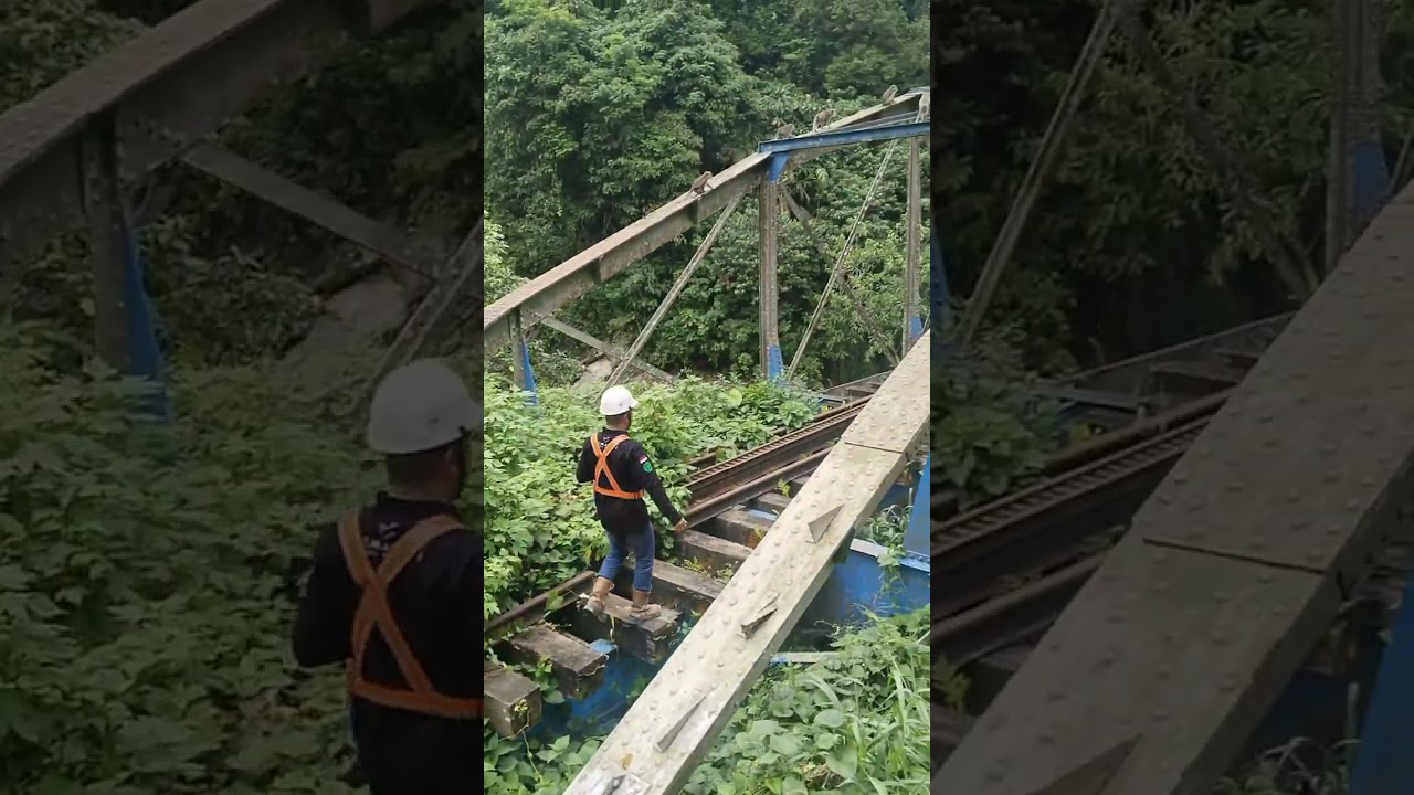 KAWANAN KERA BERJEJER DI REL KERETA API PADANG PANJANG (MARI KITA BERBAGI)