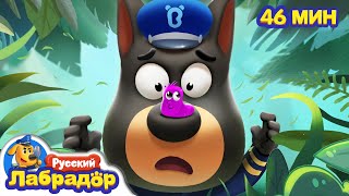 видео: 🐛Не надо играть с гусеницами! |🌲Безопасность снаружи | 🔍Сборник мультиков для детей | Шериф Лабрадор картинка: 🐛Не надо играть с гусеницами! |🌲Безопасность снаружи | 🔍Сборник мультиков для детей | Шериф Лабрадор