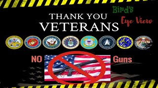 VA and Veterans' Gun Rights - Birds Eye View