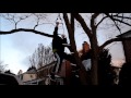 Aaron Chan - Bachar Ladder Training