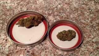 LA Kush Final Review of Dry Buds, New Millenium side by side, Lighting Science LED Grow