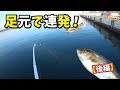 漁港であの青物が釣れる !?【後編】