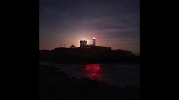 aliens in my backyard