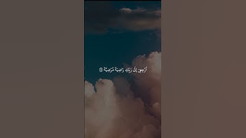 ما تيسر من سورة الفجر القارئ محمد صَديق المنشاوي.