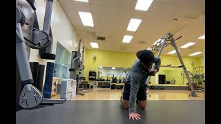 Quadruped Reach Through Cable Row