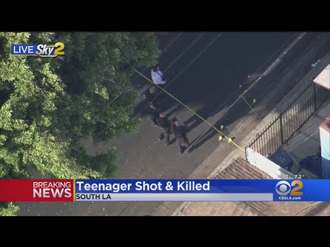 17-Year-Old Girl Fatally Shot In South LA