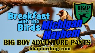 Ringy Goes Birding: KWF / Michigan Mayhem (E8)