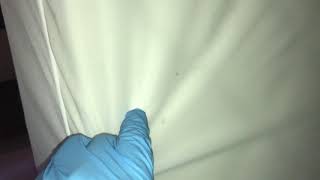 How Mattress Encasements Work Against Bed Bugs