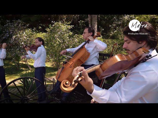 Tema O Rei Leão - Can You Feel The Love Tonight - Quarteto de Cordas Mafra