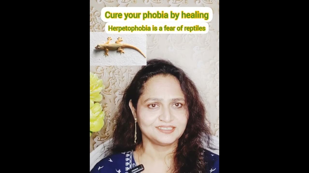 lizards phobiaover come lizard fearfear of lizardschipkali ka dar