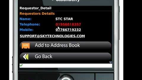 SAP Purchase Order Approval on Blackberry by Sky Technologies