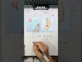 【8】腰椎滑脱 症状 治疗原则 特别提醒【手绘科普】 腰椎滑脱 腰椎滑脱怎么治 抖出健康知识宝藏  抖音知识年终大赏