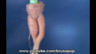 Sexy Carrot Dance!