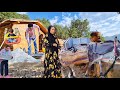 The Challenge Of Building A Shelter The Efforts Of Warrior Nomadic Girls And A Kind Man The Challenge Of Building A Shelter The Efforts Of Warrior Nomadic Girls And A Kind Man