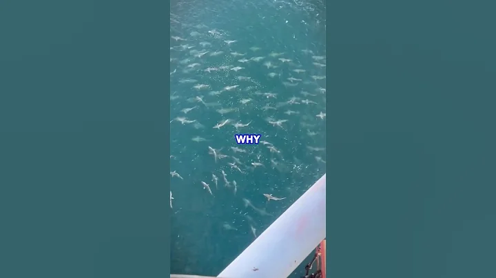 Why Oil Rig Workers Are TERRIFIED Of The Ocean 😱