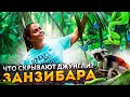 Танзания #6 | Джунгли Занзибара, Джозани Форест, Мангровый лес, Ферма специй, Обезьяны и Сад бабочек