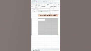 Cara Menghilangkan Garis garis di Excel tampilan menjadi polos #tipsexel