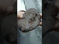 Lung||demo||mushtaq ahmed
