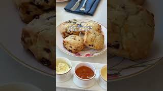 Disney Tea Experience