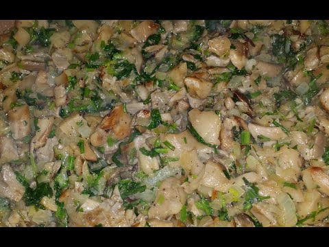 ხის სოკო