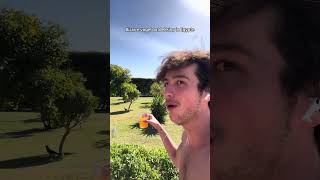 BIJZONDER DIER IN EGYPTE GEZIEN! 🤣