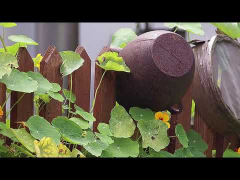 comme-on-fait-son-jardin---le-potager-de-a-à-z-:-emplacement