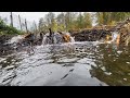 BEAVER DAM REMOVAL | WINTER APPEARED