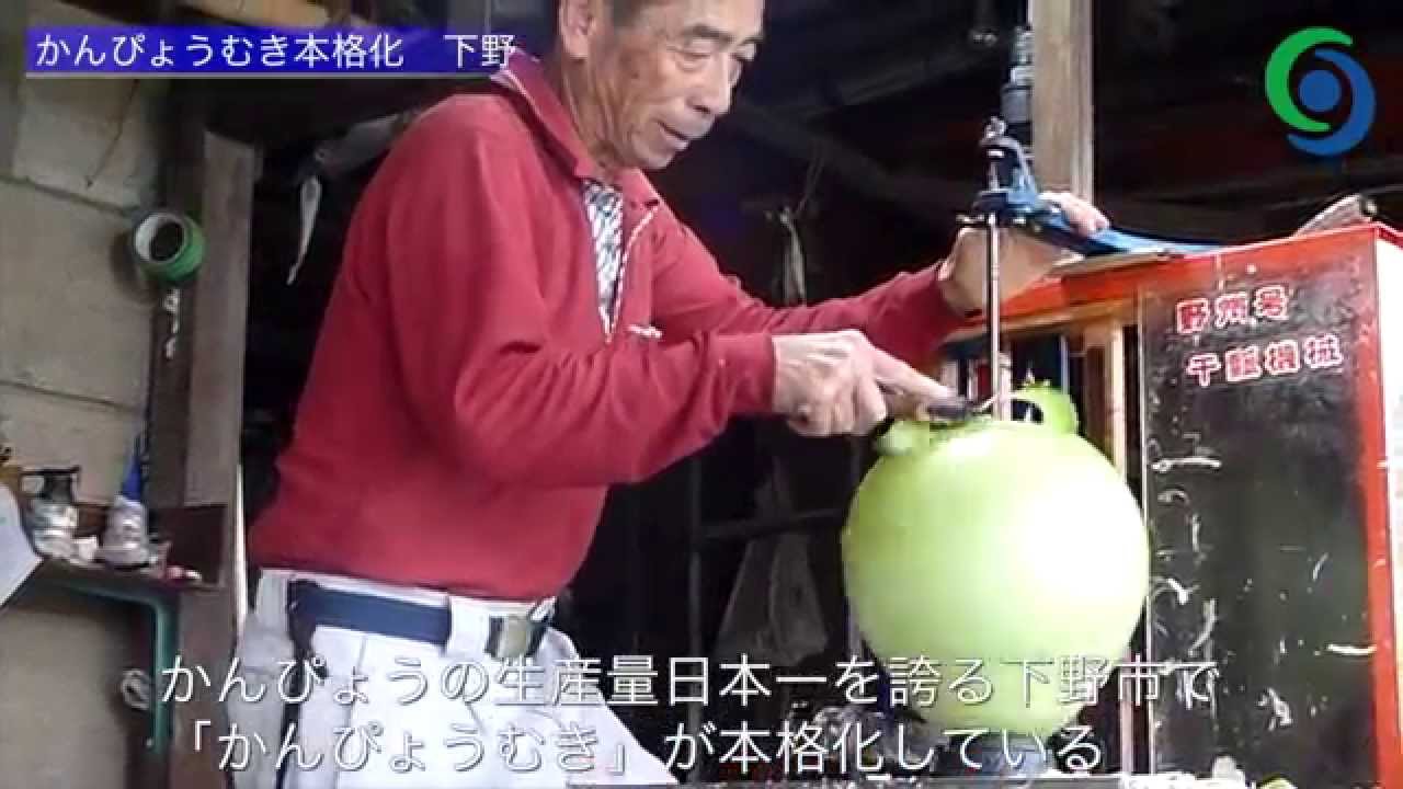 かんぴょうむき本格化 下野 Youtube