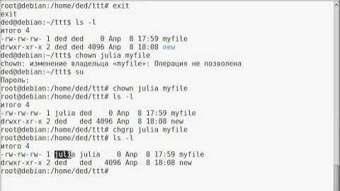 Как изменить владельца linux. Как изменить группу linux. Команды chown и chgrp
