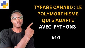 Le Typage Canard : Le Polymorphisme qui S