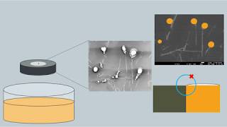 Understanding corrosion in miniaturized electronics | Salil Sainis