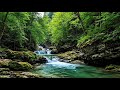 Instant Calm: Waterfall &amp; Forest Ambience for Deep Sleep, Stress Relief &amp; Focus