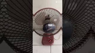 Download Lagu JJ Meiki desk fan MP3 Download Lagu JJ Meiki desk fan MP3