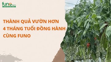 Thành quả vườn hơn 4 tháng tuổi đồng hành cùng FUNO-FUNOFARM