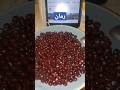 الرمانة مليانة