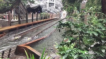 جزء عم | سورة الفجر | سعيد الخطيب