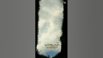 {كل نفس ذاقت الموت} التلاوة القران الكريم سورة العنكبوت